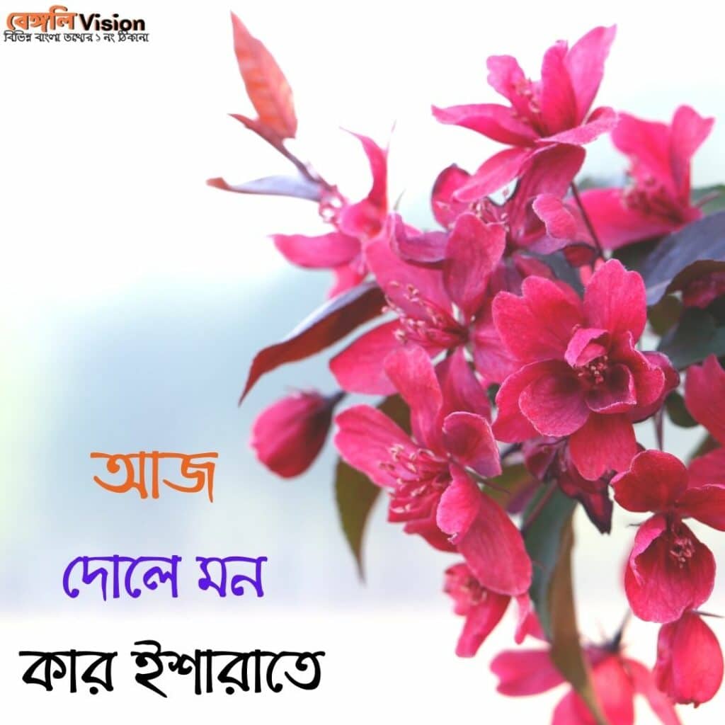 Romantic Bengali Song Caption image